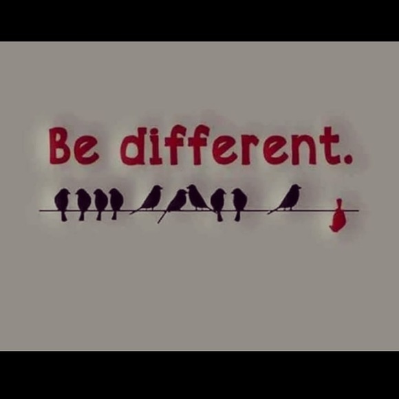 Meet your Posher, Wanda - Picture 1 of 1